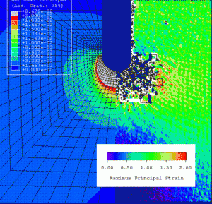 Comparison of FEA and moire interferometric strain measurements in Nitinol